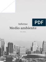 Informe Medio Ambiente