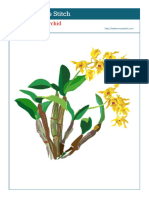 Dendrobium Orchid Cross Stitch Pattern