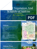 Natural Vegetation and Wildlife of Sikkim 2