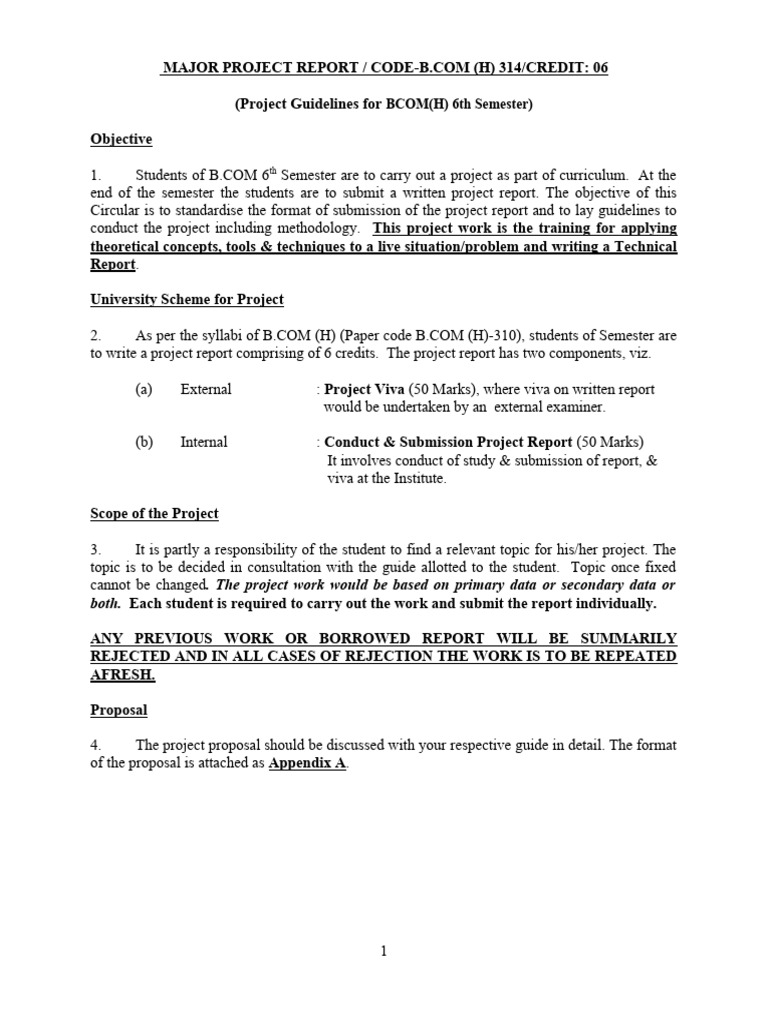 BCOM 6th Sem Project Guidelines | PDF | Data | Methodology
