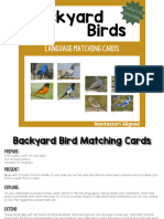 Backyard Birds Toob Cards