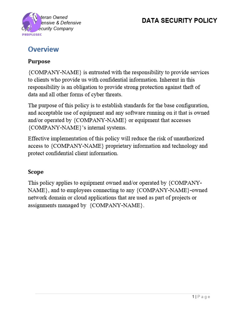 Data Security Policy Overview | PDF | Security | Computer Security