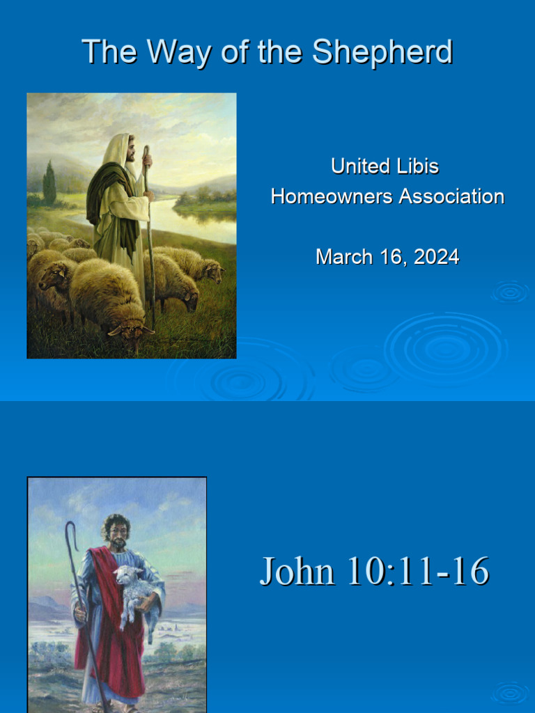 The Way of The Shepherd | PDF | Sheep | Shepherd