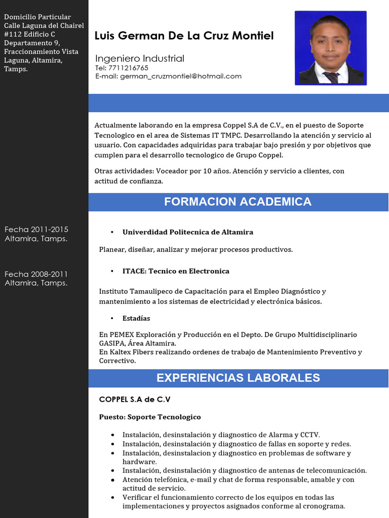 CV German Act | PDF | Ingeniería