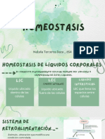Homeostasis - Natalia Terceros Daza 6S4