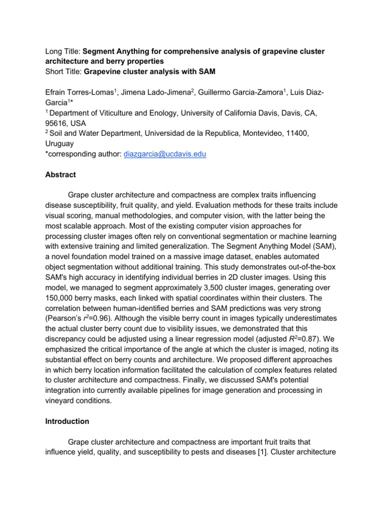 Grapevine Cluster Analysis Using SAM | PDF | Image Segmentation ...