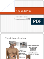 Lecciones de Cirugía Endocrina