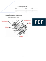 รายงานปฏิบัติการที่ 7