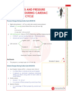 Volumes and Pressure Changes During Cardiac Cycle