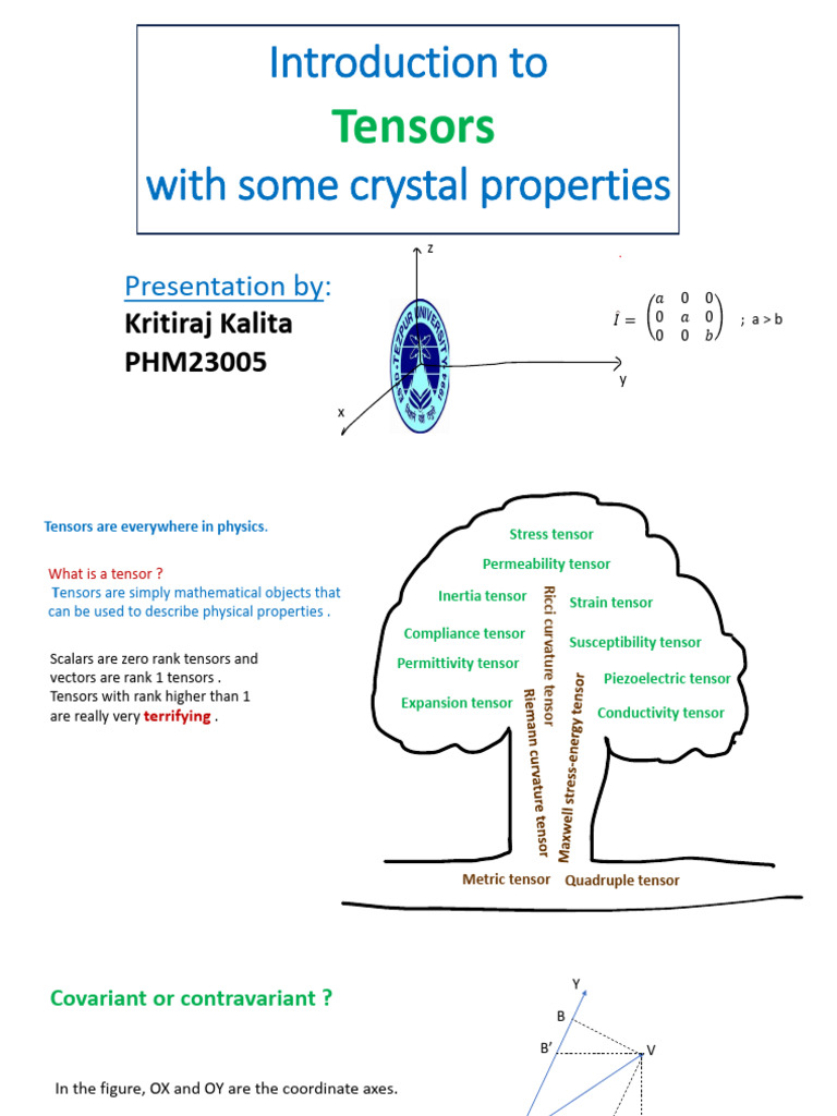 Tensors in physics pdf tensor physical phenomena