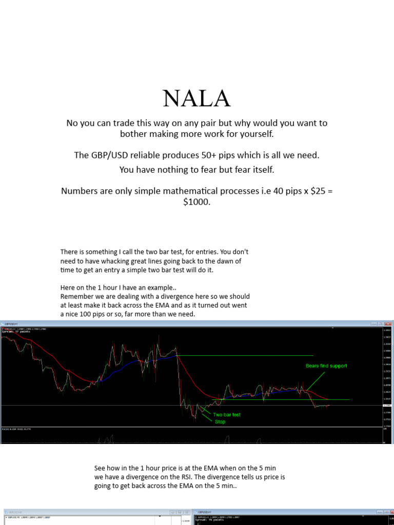 Nala Power Point PDF
