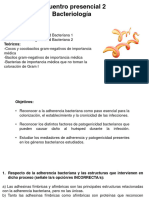 Encuentro Presencial 2 Bacterio