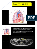 Atlas de Anatomia Radiologica Correlacio