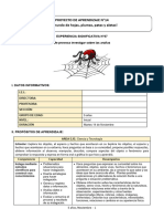 5 Años - Actividad Del 14 de Noviembre