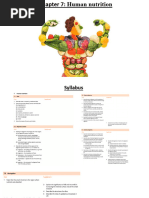 Chapter 7 Human Nutrition