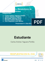 Fase 2 Digestión y Metabolismo de Nutrientes