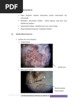 Download Farmakognosi Laporan Identifikasi Simplisia by dya SN71527358 doc pdf