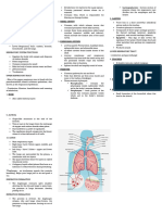 Respiratory System