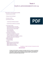 BiologiaMolecular_texto04transcricao2017 (8)final