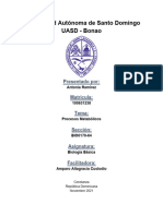 Biologia Básica - Procesos Metabólicos