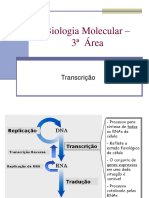 Transcrição, Processamento de RNAm e Tradução