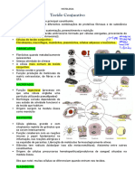 Tecido Conjuntivo - Resumo