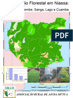 Governação Florestal em Niassa:: o Caso de Muembe, Sanga, Lago e Cuamba
