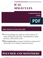 Biological - Macromolecules