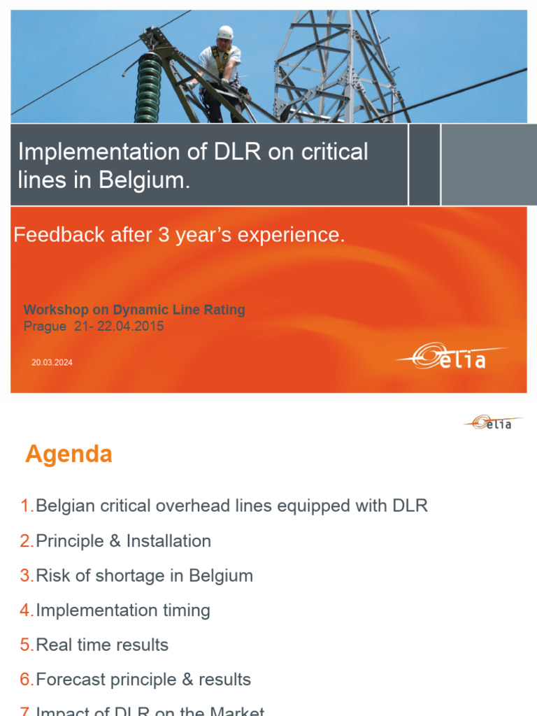 DLR Implementation Insights in Belgium | PDF