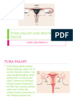 Tuba Falofi Dan Indung Telur