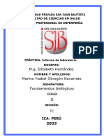 Documento A4 Índice para Informe de Presentación Estratégica de Empresa - 20230922 - 203018 - 0000