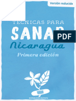 Técnicas para Sanar Nicaragua