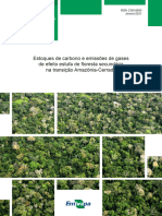 2021 Cpamt Afn Estoque Carbono Efeito Estufa Floresta Secundaria Transicao Amazonia Cerrado