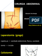 Princípios Incisões Abdominal PDF 2019