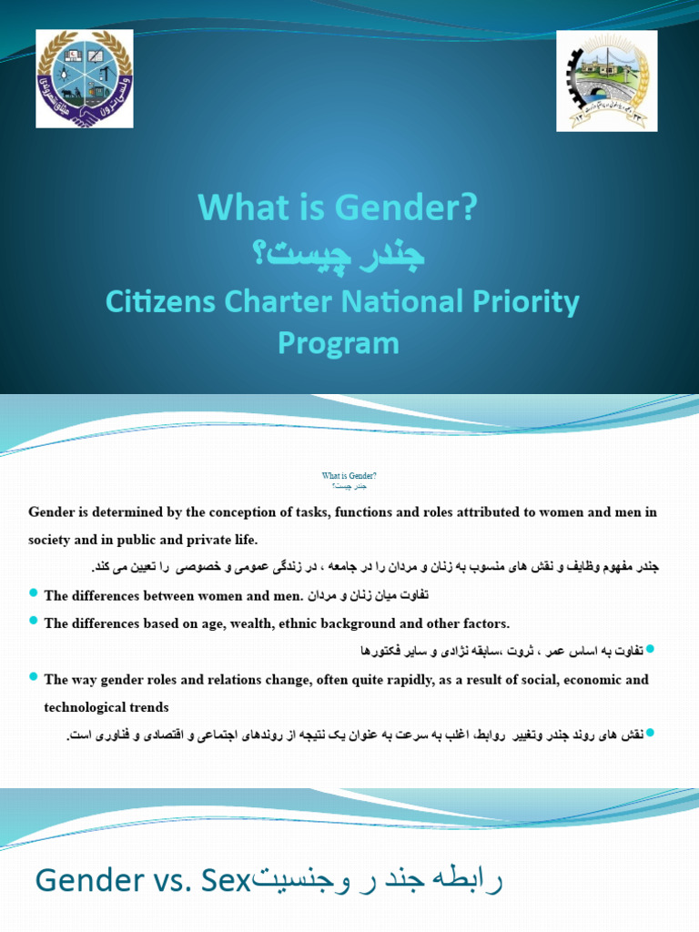 What Is Gender | PDF