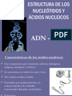 Estructura de Acidos Nucleicos2024-1