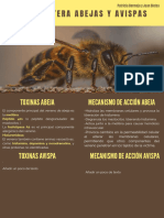 Abejas y Avispas