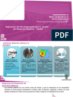 Documento 10 - Pasos - PEGRD - RD PDF