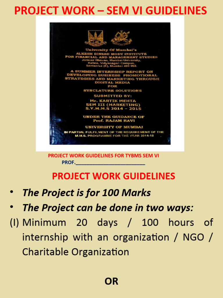 TYBMS SEM VI Project Work Guidelines | PDF | Methodology | Procedural ...
