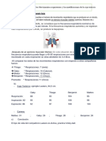 Observación de Los Movimientos Respiratorios y Las Modificaciones de La Caja Torácica