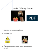 Olfato