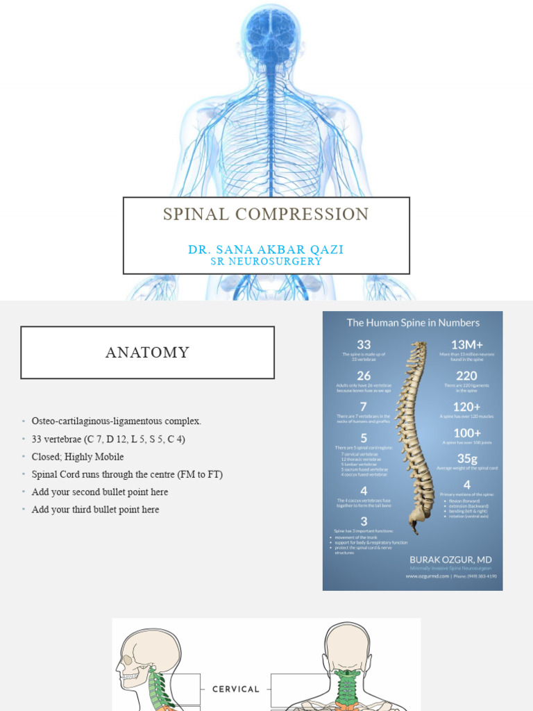 Spinal Compression | PDF | Self-Improvement