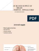 Revit of Blood Supply of Brain