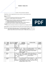 Proiect Didactic V