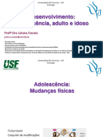 Aulas 3 e 4. Adolescência