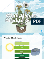 What Plants Need To Grow Powerpoint Ver 2