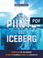 Es Solo La Punta Del Iceberg Nuevo