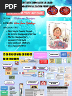 Esquema Capox | PDF