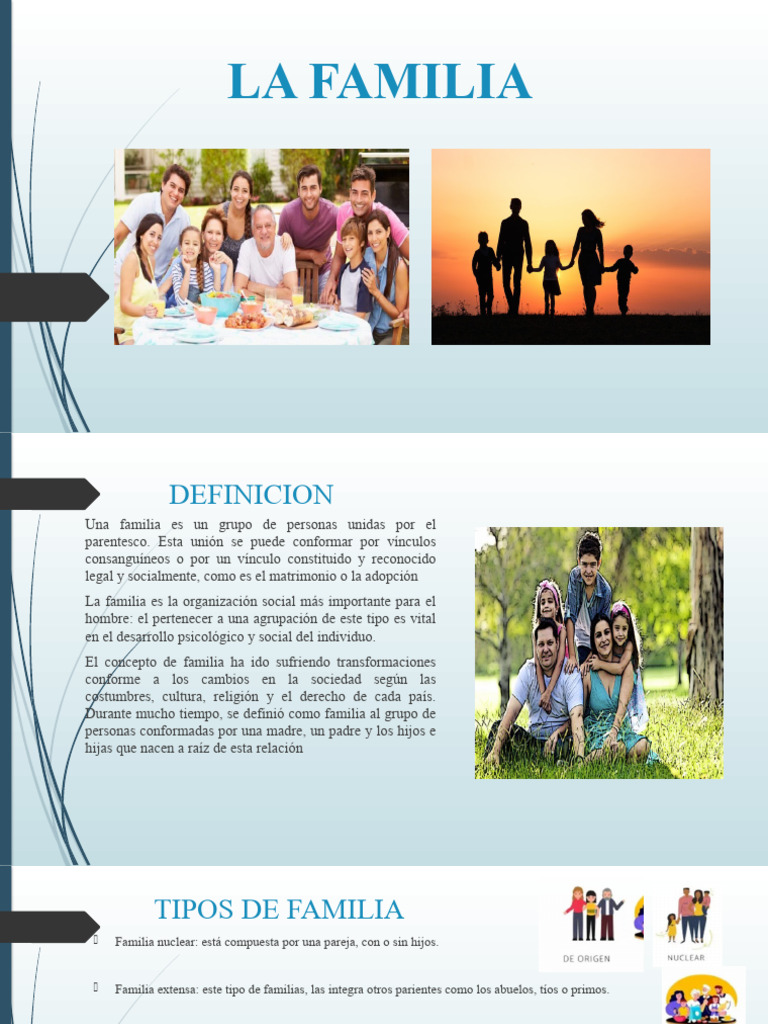 Tipos y Funciones de la Familia | PDF | Familia | Parentesco