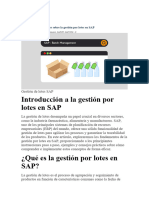 Guía para Principiantes Sobre La Gestión Por Lotes en SAP